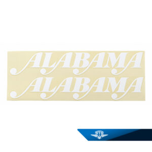 Sticker for rear fender DS